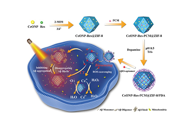 CeONP-Res-PCM@ZIF-8/PDA 的制備及其在 AβO 傳感和治療中的應(yīng)用示意圖